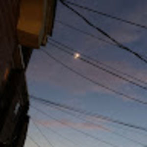 Meet your Posher, Angelina